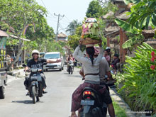 Transport des offrandes en amazone - Ubud - Bali